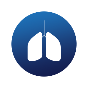 Icon Lungenflügel